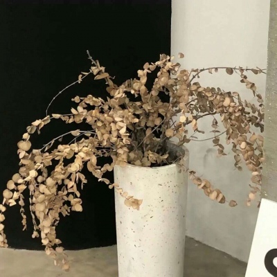 兽设草原场景绘制兽圈群